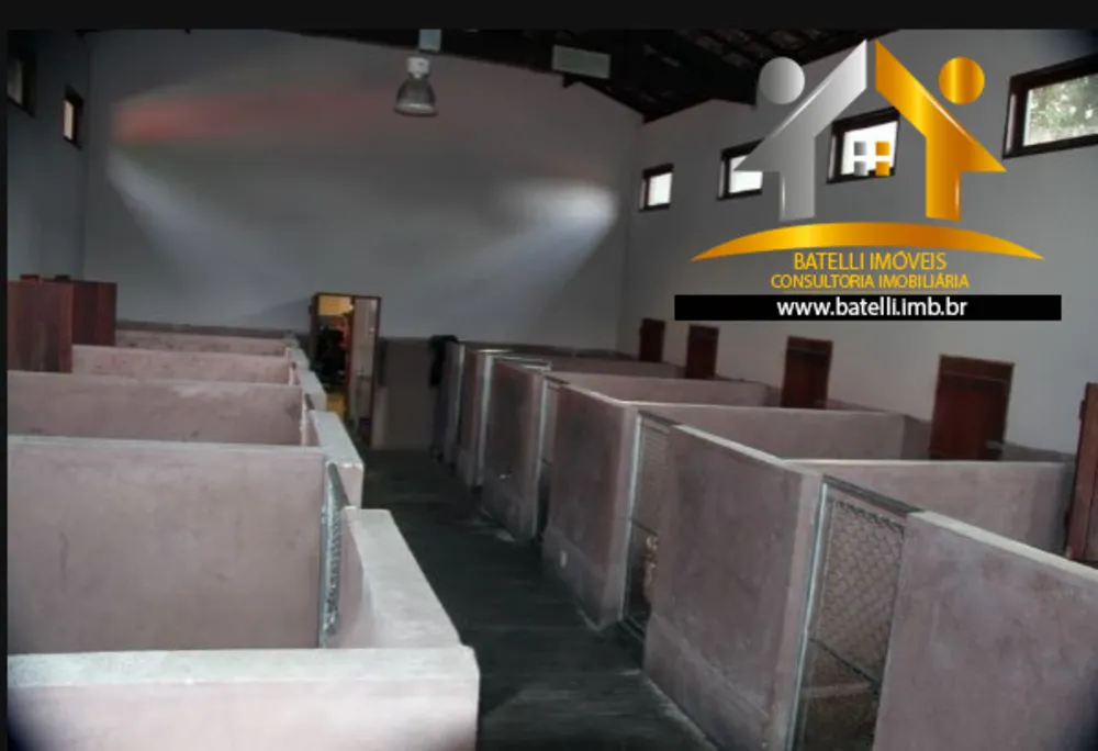 Casa, 2 quartos, 850 m² - Foto 2