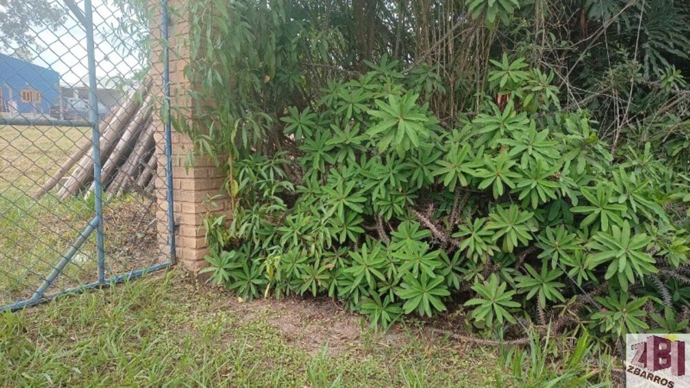 Terreno, 3182 m² - Foto 1