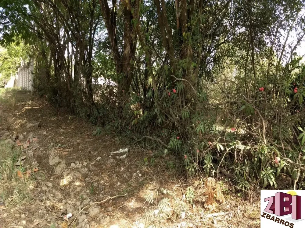 Terreno, 1212 m² - Foto 7