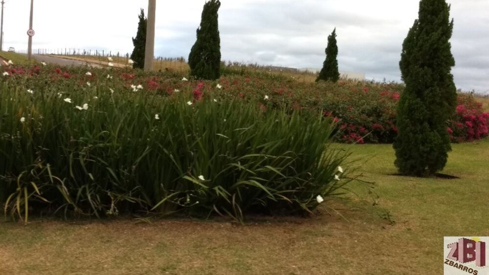 Terreno, 250 m² - Foto 3