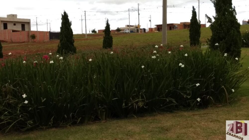 Terreno, 250 m² - Foto 5