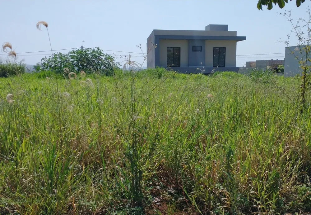 Terreno, 297 m² - Foto 2