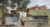 Terreno, 300 m² - Foto 2