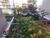 Apartamento, 2 quartos, 80 m² - Foto 21