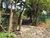 Terreno, 1164 m² - Foto 1