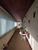 Casa, 3 quartos, 548 m² - Foto 3
