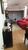 Apartamento, 3 quartos, 98 m² - Foto 1