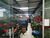 Loja-Salão, 400 m² - Foto 2