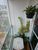 Apartamento, 2 quartos, 63 m² - Foto 5