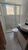 Cobertura, 3 quartos, 194 m² - Foto 31