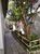 Sobrado, 4 quartos, 260 m² - Foto 5
