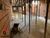 Apartamento, 3 quartos, 98 m² - Foto 5