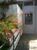 Sala-Conjunto, 42 m² - Foto 10