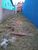 Terreno, 250 m² - Foto 2