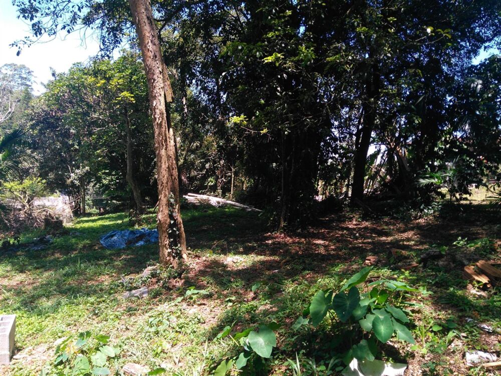 Casa à venda com 4 quartos, 174m² - Foto 2