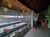 Casa Comercial, 694 m² - Foto 5