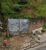Terreno, 250 m² - Foto 4
