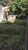 Terreno, 250 m² - Foto 2