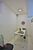 Casa, 4 quartos, 440 m² - Foto 4