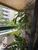 Apartamento, 4 quartos, 155 m² - Foto 23