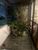 Apartamento, 4 quartos, 155 m² - Foto 13
