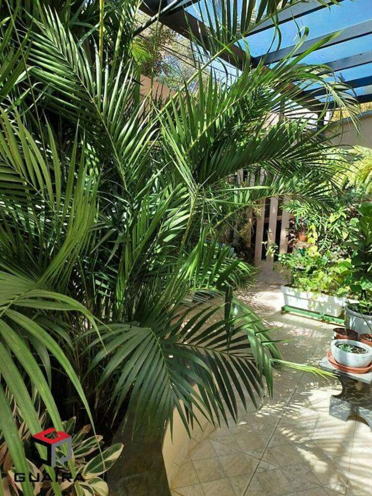 Cobertura para alugar com 3 quartos, 250m² - Foto 8
