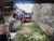 Terreno, 250 m² - Foto 3