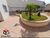 Apartamento, 2 quartos, 67 m² - Foto 31