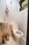 Sobrado, 3 quartos, 351 m² - Foto 24