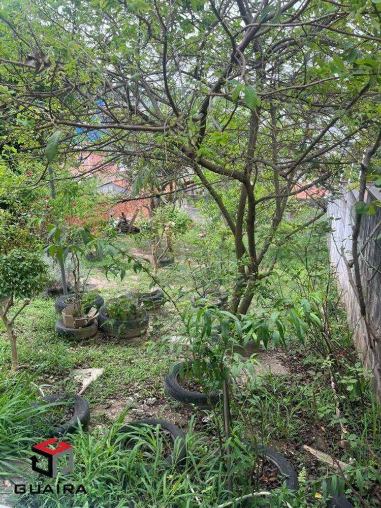 Terreno à venda, 370m² - Foto 2
