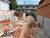 Cobertura, 2 quartos, 100 m² - Foto 4