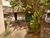 Terreno, 886 m² - Foto 3