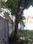 Terreno, 822 m² - Foto 11