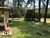 Terreno, 2 hectares - Foto 3