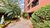 Apartamento, 3 quartos, 80 m² - Foto 25