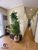 Apartamento, 3 quartos, 71 m² - Foto 10