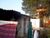 Casa, 3 quartos, 360 m² - Foto 7