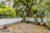 Casa Comercial, 560 m² - Foto 15