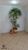 Sobrado, 3 quartos, 135 m² - Foto 39