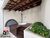 Apartamento, 2 quartos, 56 m² - Foto 28