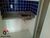 Sala-Conjunto, 48 m² - Foto 8