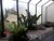 Apartamento, 4 quartos, 144 m² - Foto 32