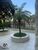Apartamento, 2 quartos, 56 m² - Foto 34