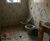 Sobrado, 3 quartos, 498 m² - Foto 3