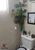 Apartamento, 2 quartos, 57 m² - Foto 4