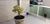 Casa, 2 quartos, 196 m² - Foto 3