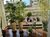 Apartamento, 3 quartos, 84 m² - Foto 3