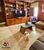 Apartamento, 4 quartos, 171 m² - Foto 3