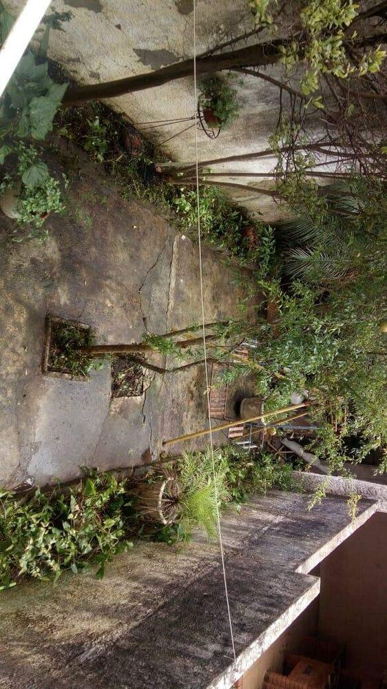 Sobrado à venda com 3 quartos, 263m² - Foto 5