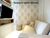 Apartamento, 2 quartos, 49 m² - Foto 1